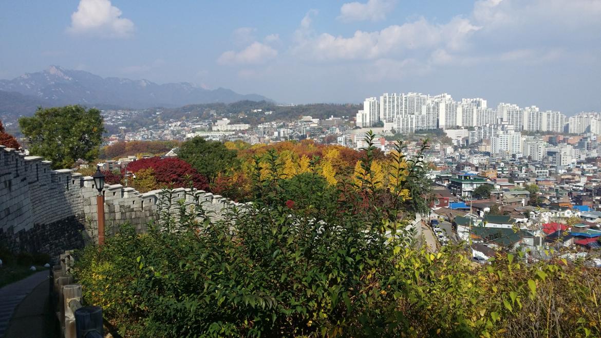 [별별 집 이야기 1] 나의 집 연대기