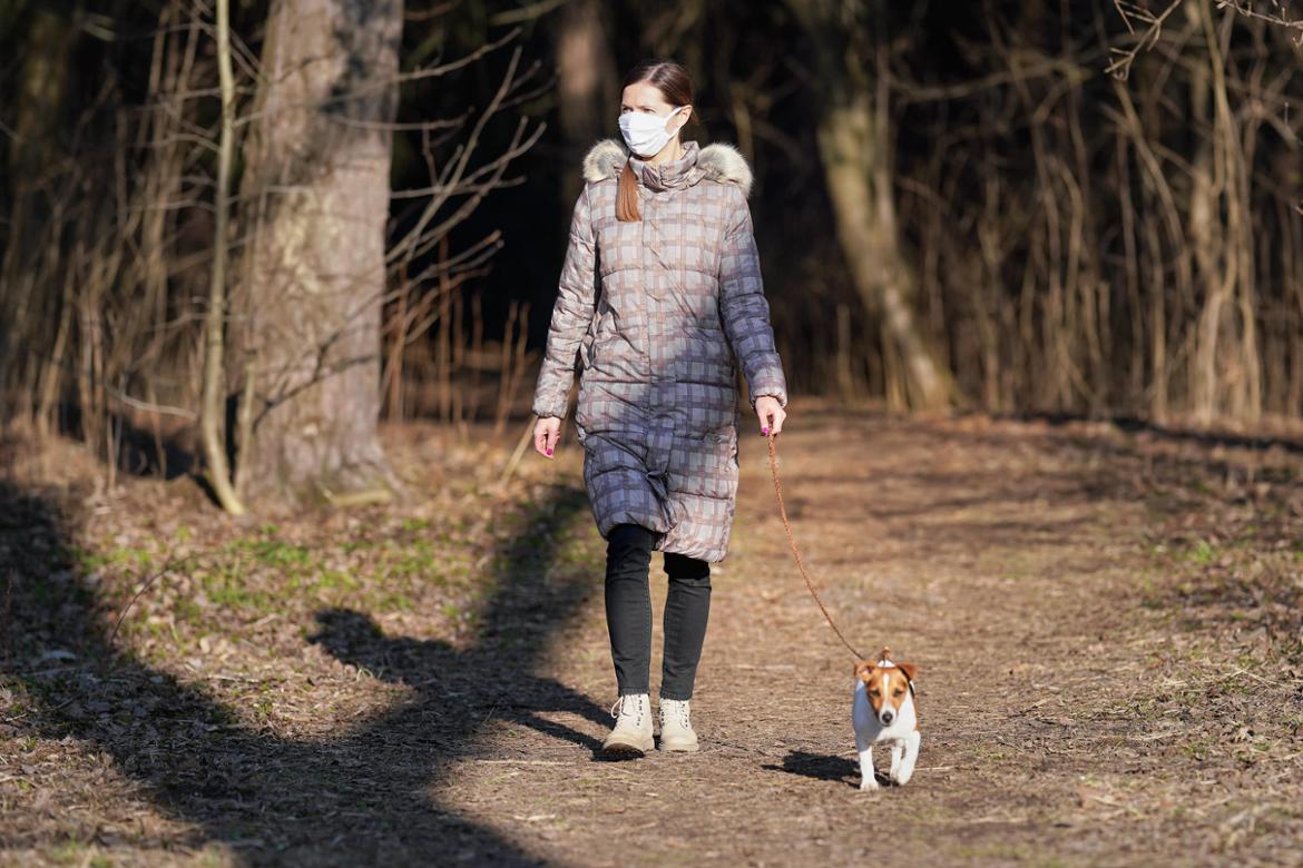 반려견 산책 도우미, 도그워커