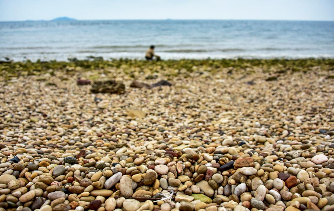 그 섬에서 보낸 하루, 송이도(松耳島) 