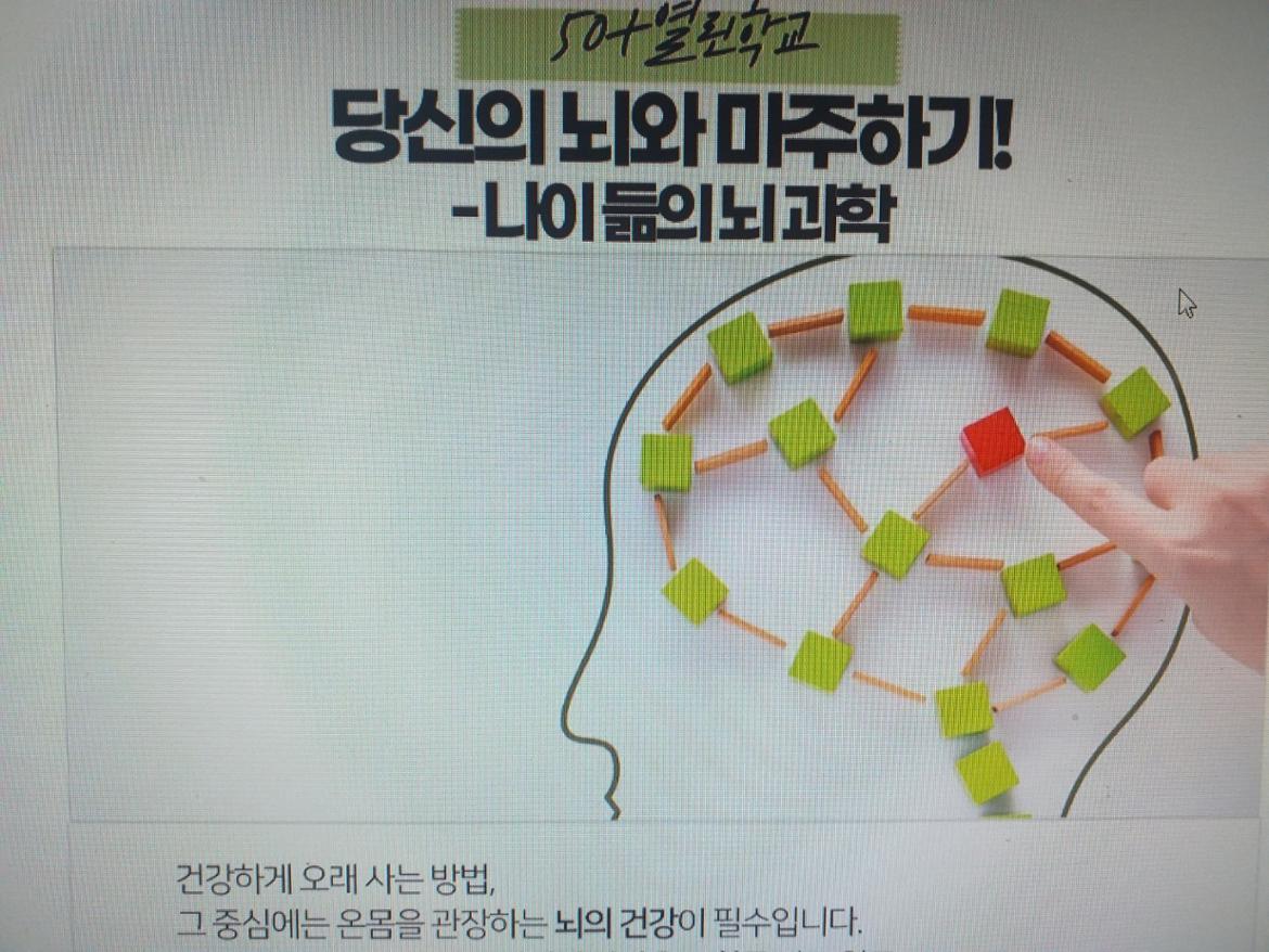 뇌과학6.jpg