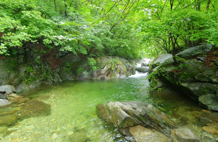 휴가 지각생을 위한 8월 가 볼 만한 계곡
