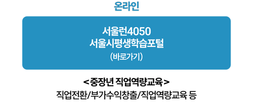 온라인
서울4050
서울시평생학습포털
(바로가기)
<중장년 직업역량교육>
직업전환/부가수익창출/직업역량교육등
